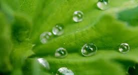 Er det tid til et nyt fjernvarmeanlæg?